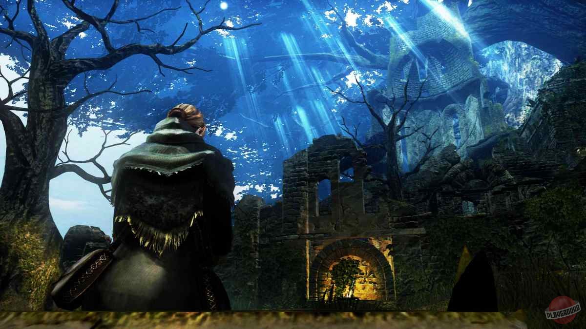 Скриншот из игры Dark Souls - 131
