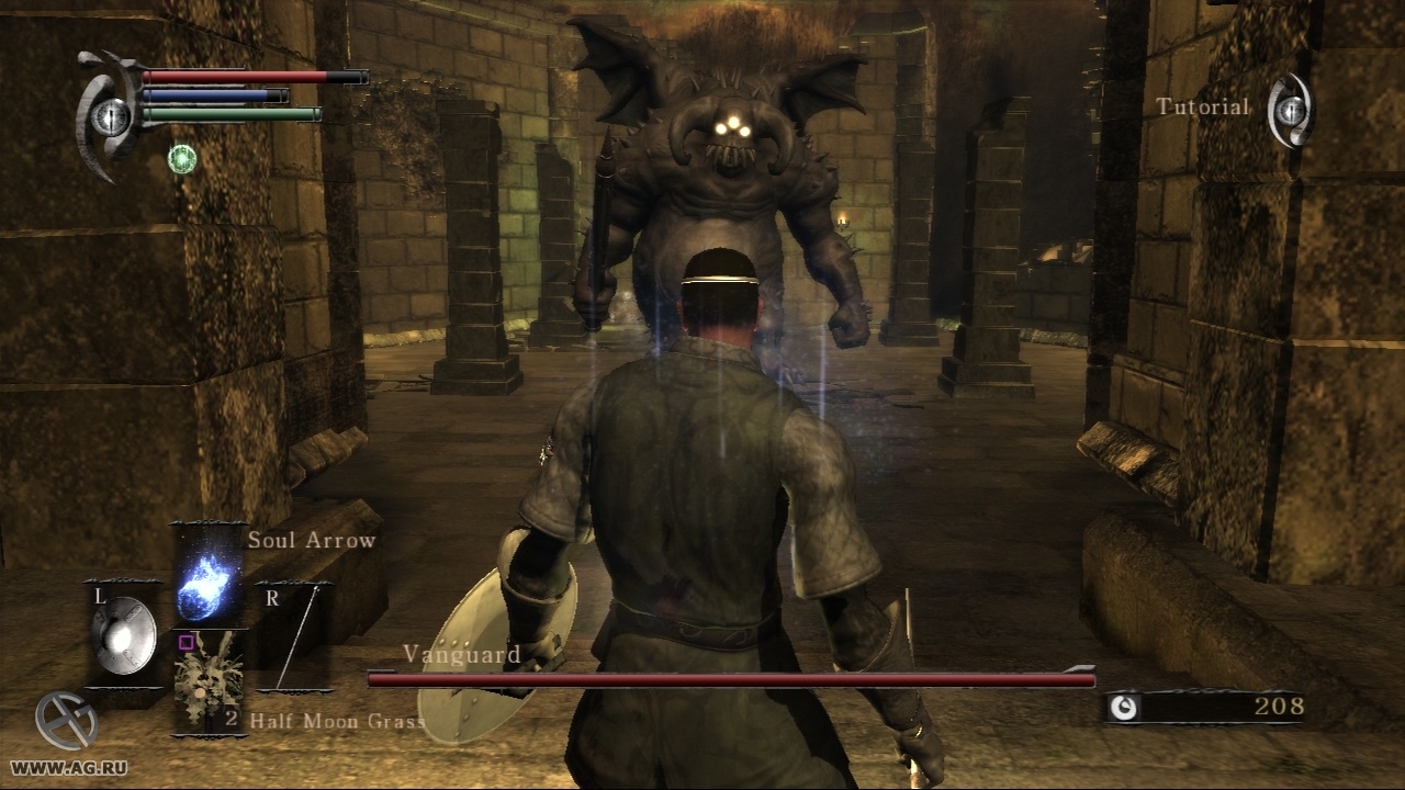 Скриншот из игры Demon's Souls - 248