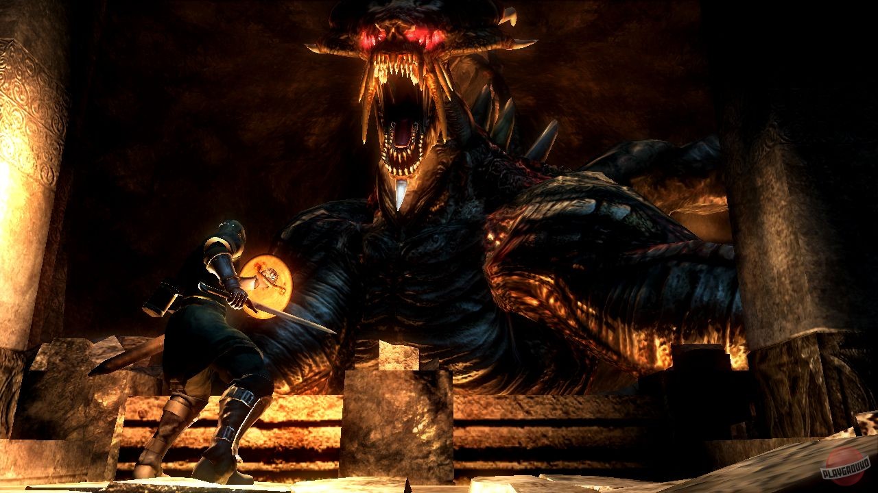 Скриншот из игры Demon's Souls - 36