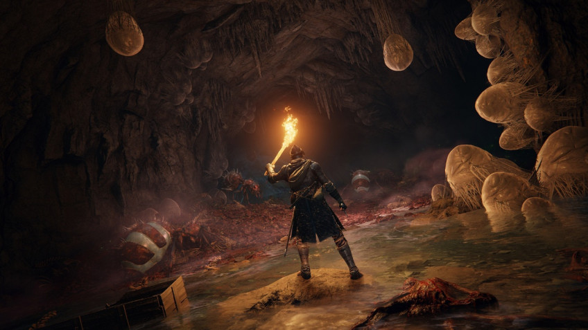 Скриншот из игры Elden Ring - 8