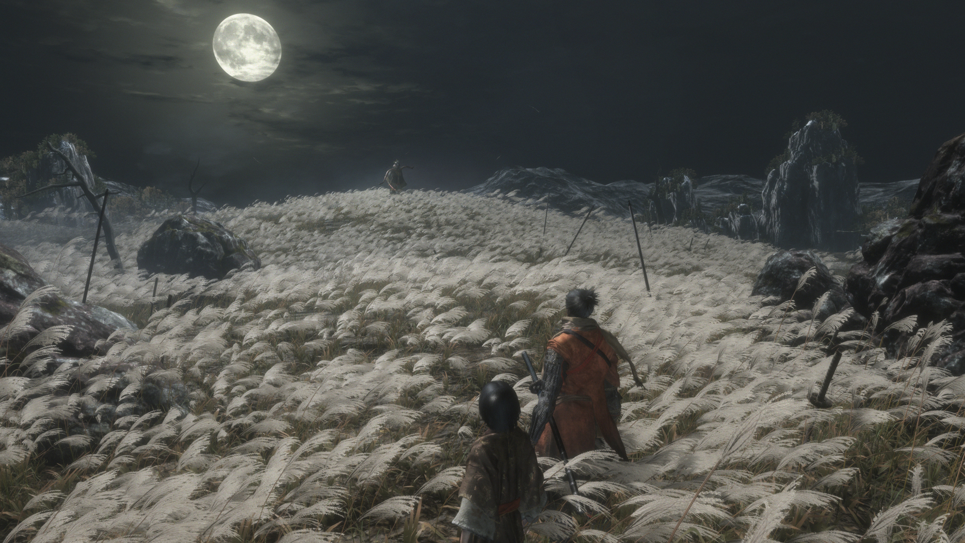 Скриншот из игры Sekiro: Shadows Die Twice - 46