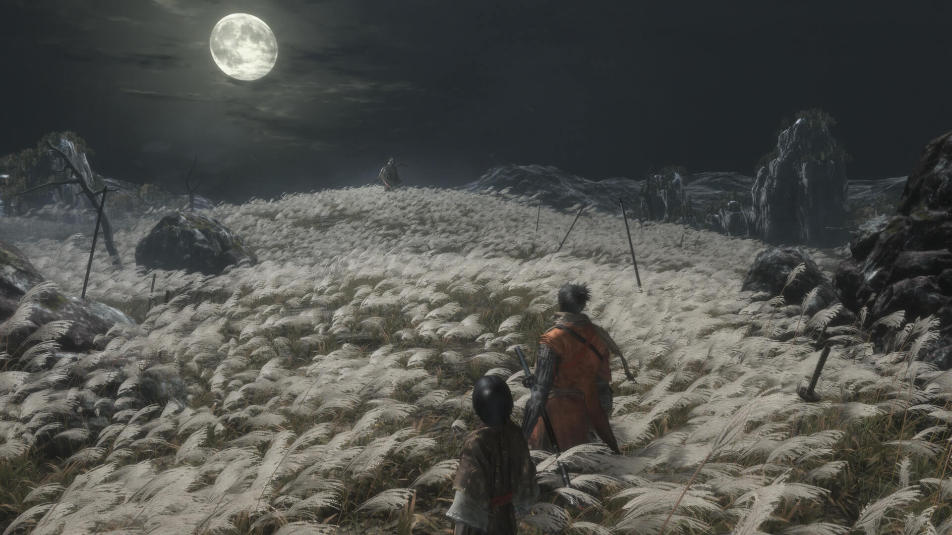 Скриншот из игры Sekiro: Shadows Die Twice - 39