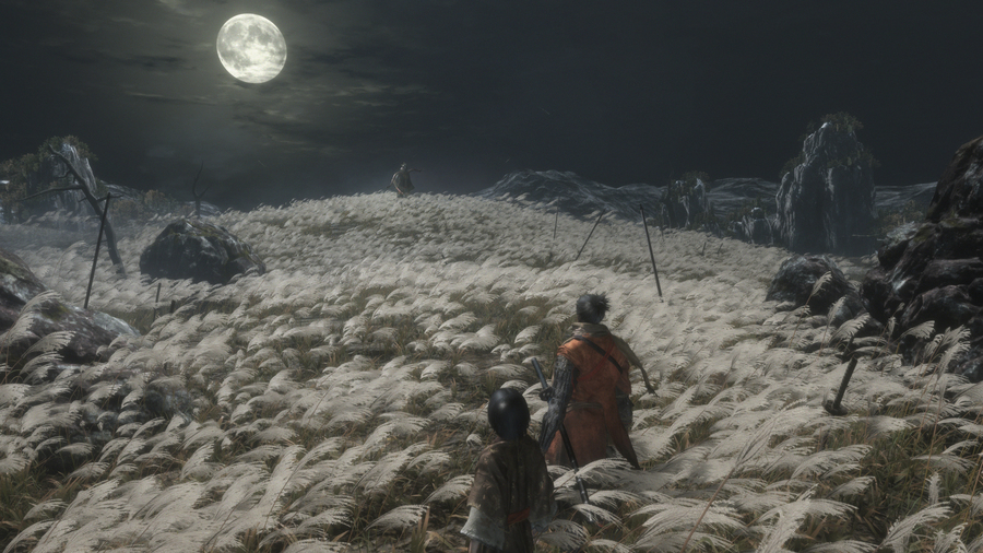Скриншот из игры Sekiro: Shadows Die Twice - 13