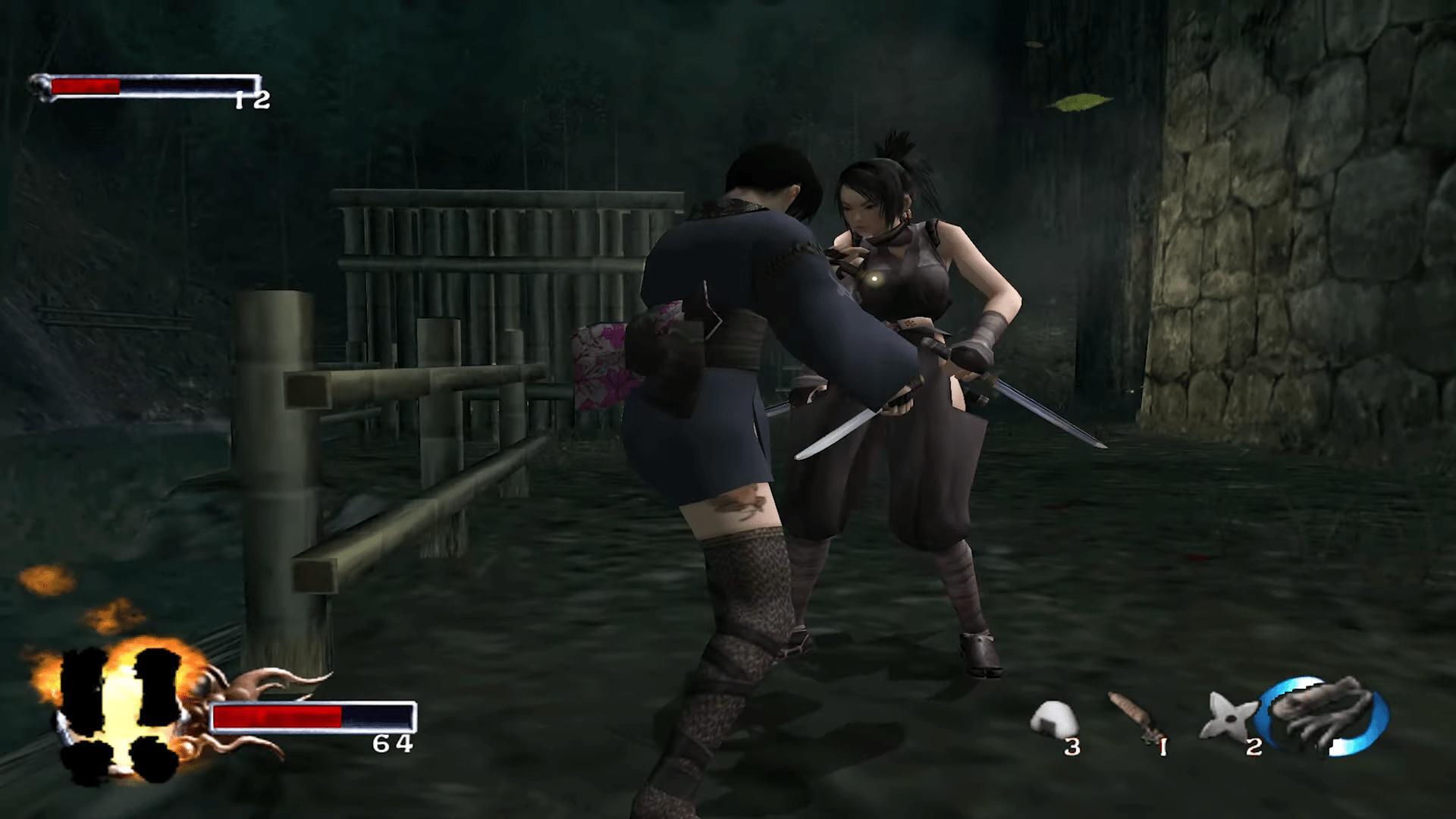 Скриншот из игры Tenchu: Fatal Shadows - 14