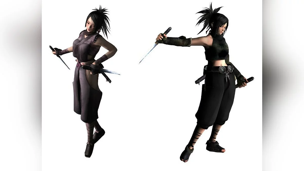 Скриншот из игры Tenchu: Fatal Shadows - 7