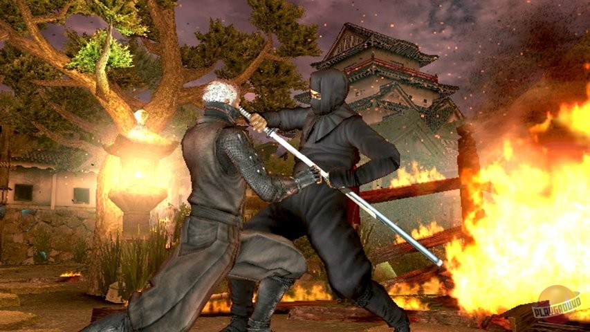 Скриншот из игры Tenchu: Shadow Assassins - 1