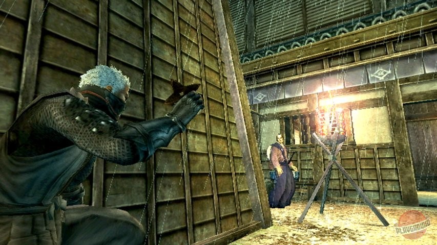 Скриншот из игры Tenchu: Shadow Assassins - 3