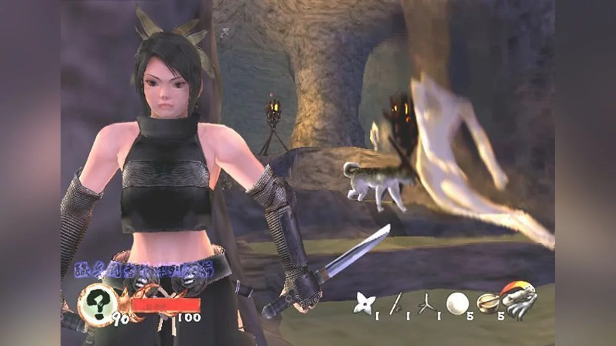 Скриншот из игры Tenchu: Wrath of Heaven - 1