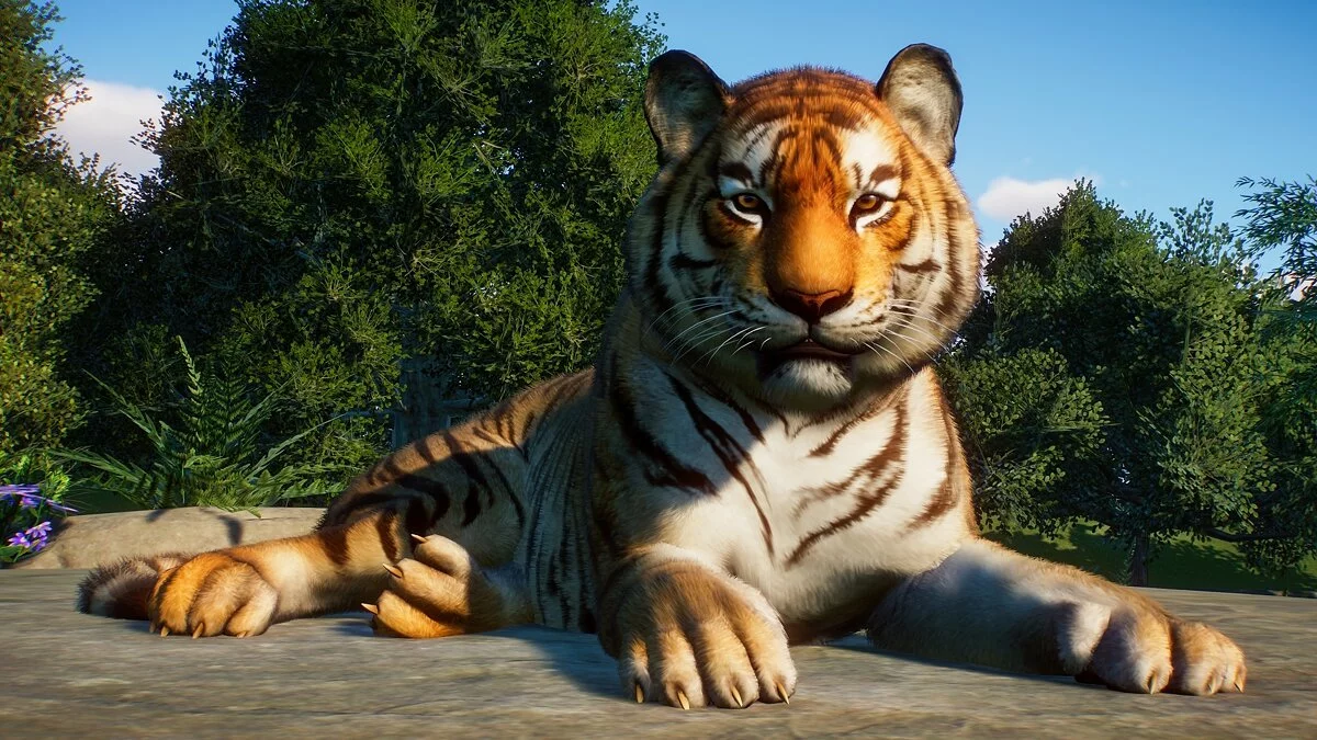 Скриншот из игры Planet Zoo - 49