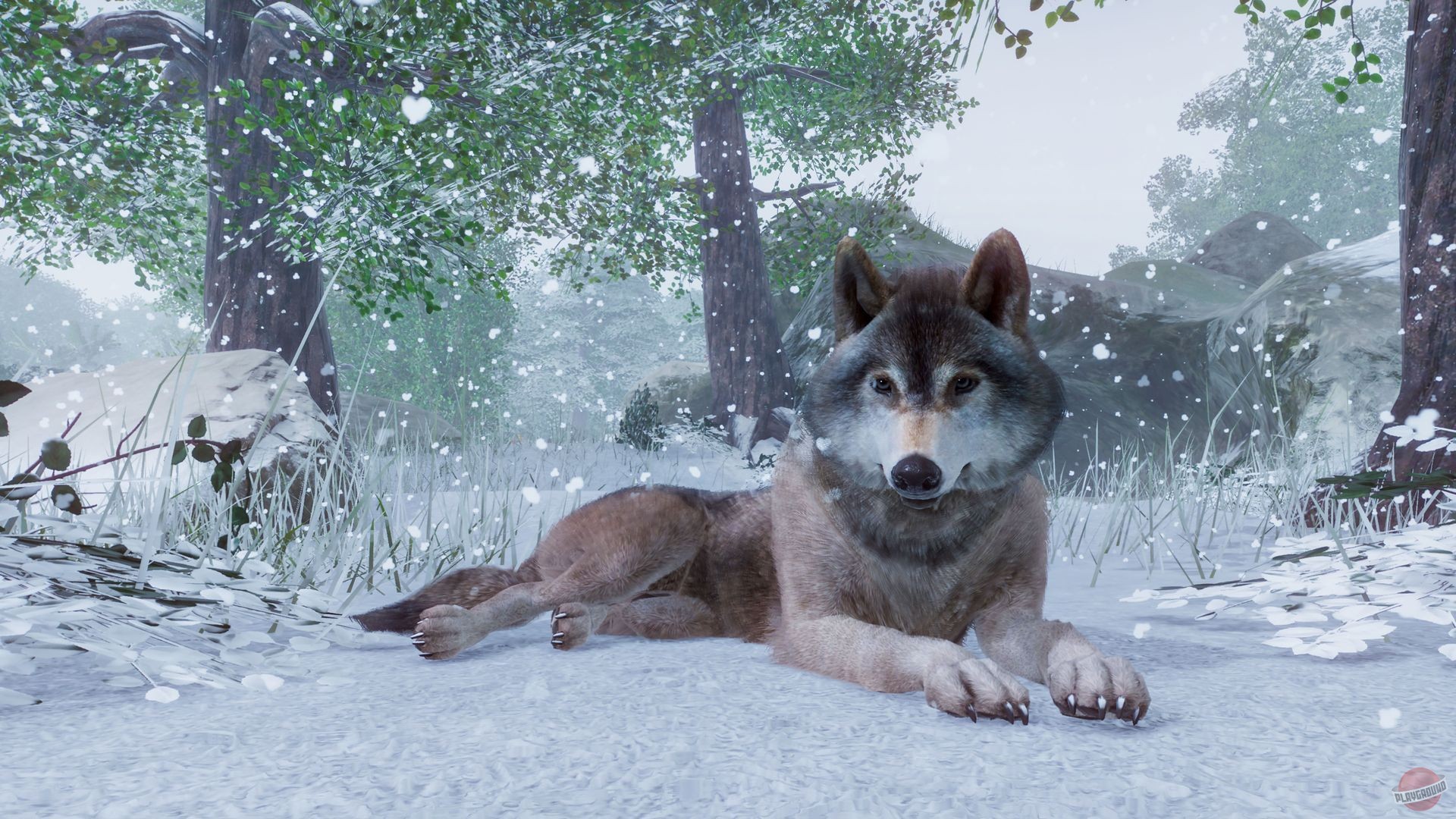 Скриншот из игры Planet Zoo - 75