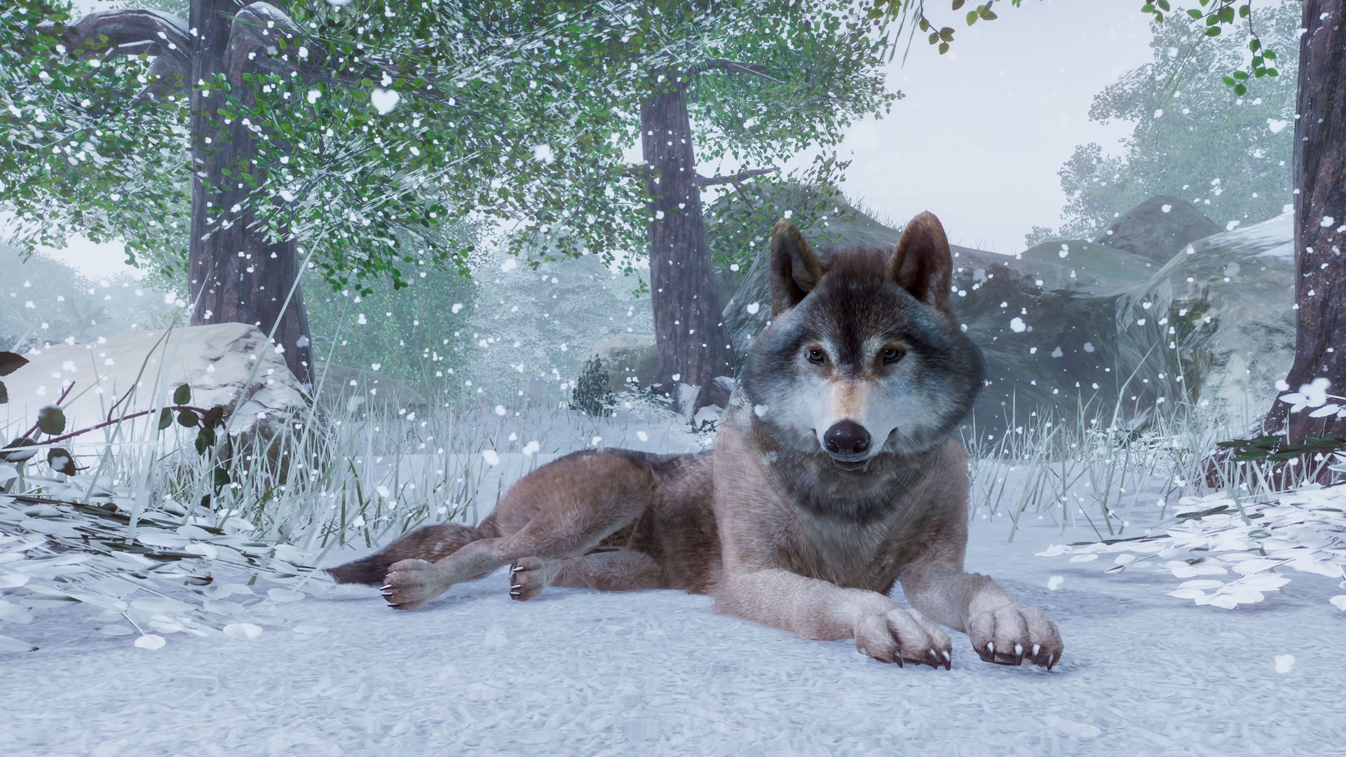 Скриншот из игры Planet Zoo - 19