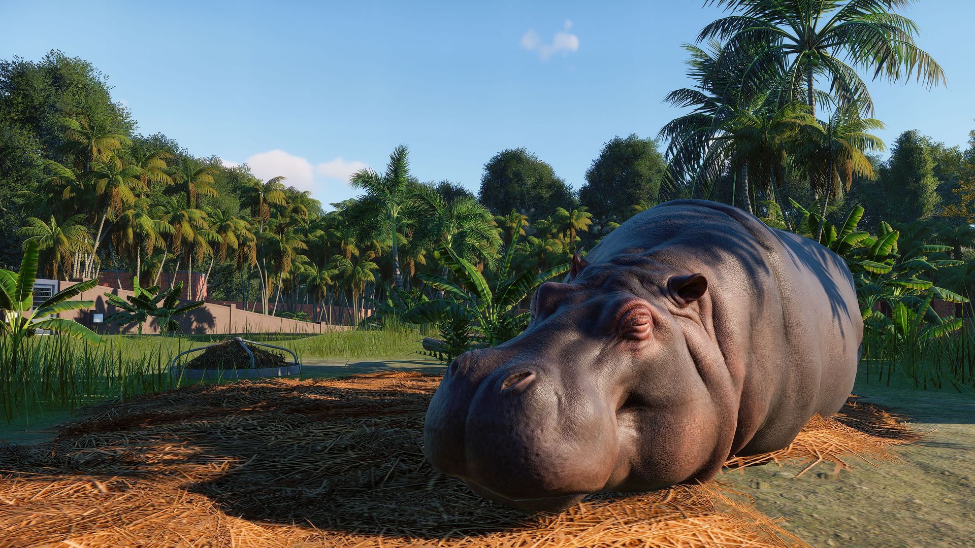 Скриншот из игры Planet Zoo - 23