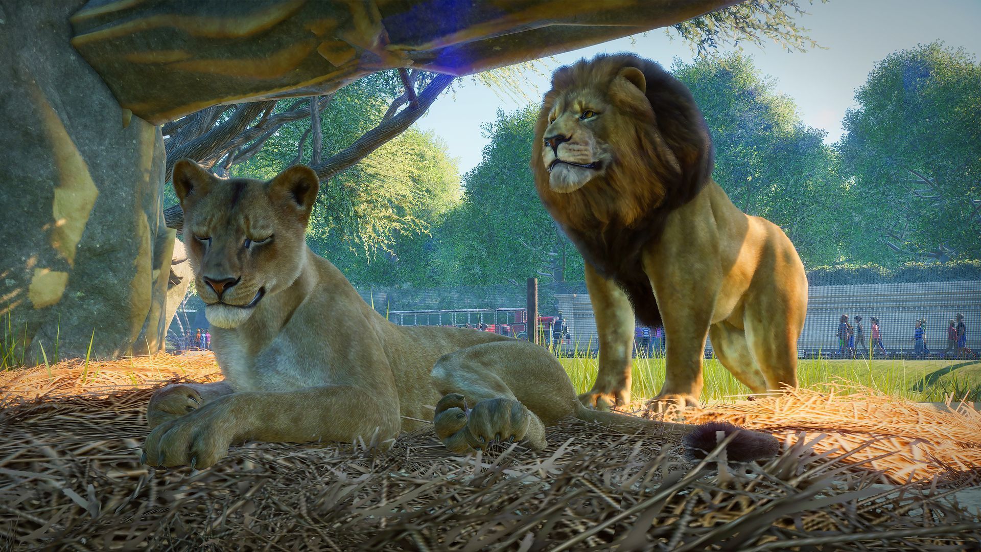 Скриншот из игры Planet Zoo - 26