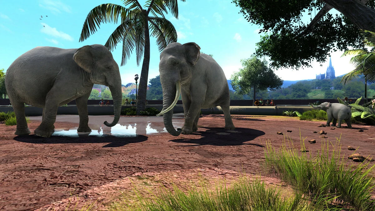 Скриншот из игры Zoo Tycoon: Ultimate Animal Collection - 29