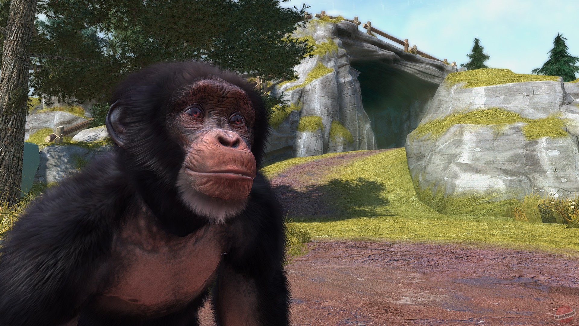 Скриншот из игры Zoo Tycoon: Ultimate Animal Collection - 15