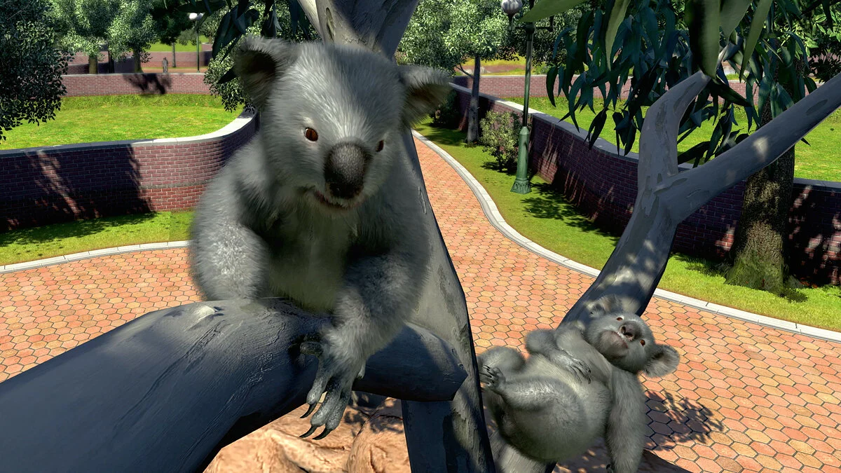 Скриншот из игры Zoo Tycoon: Ultimate Animal Collection - 11