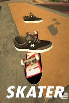 Обложка игры Skater