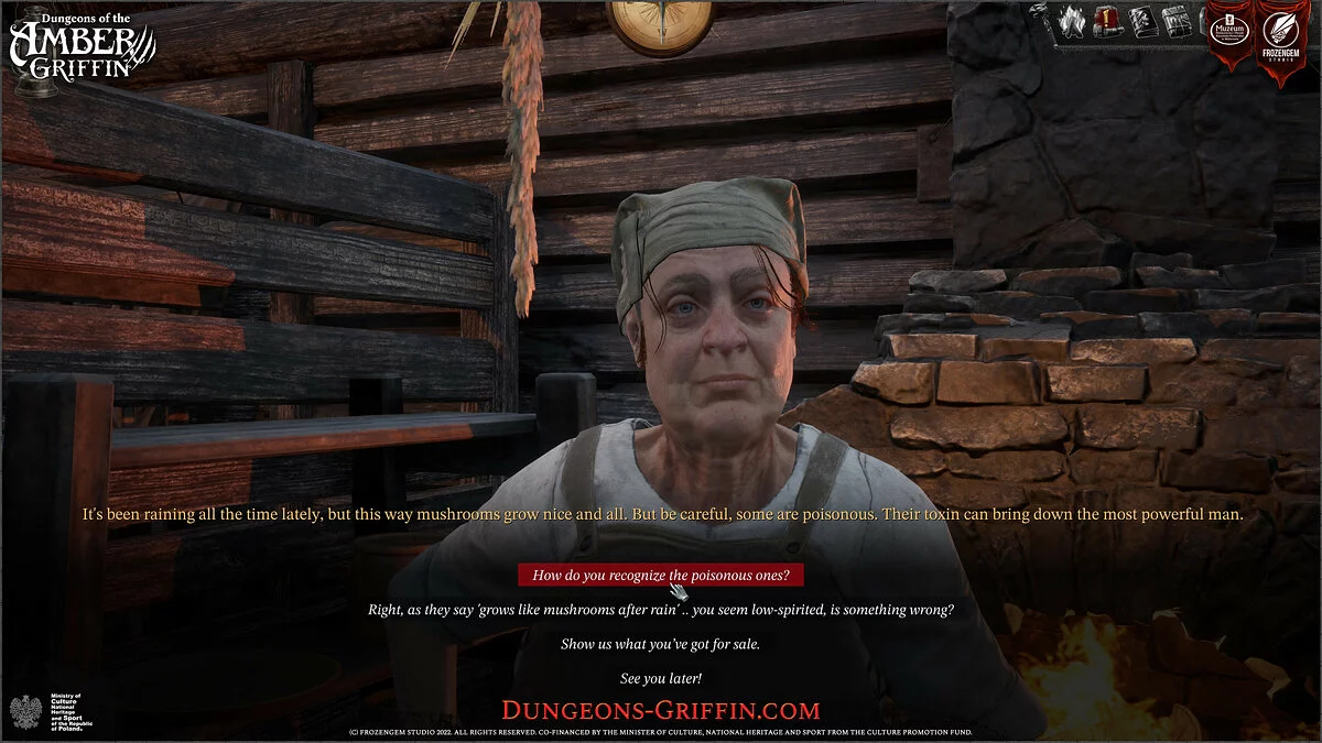 Скриншот из игры Dungeons of the Amber Griffin - 16