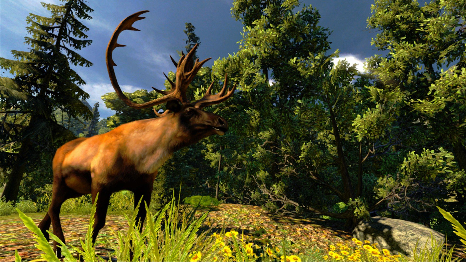 Скриншот из игры Cabela's Hunting Expeditions - 3