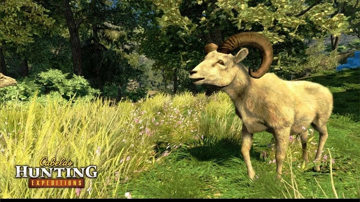 Скриншот из игры Cabela's Hunting Expeditions - 11