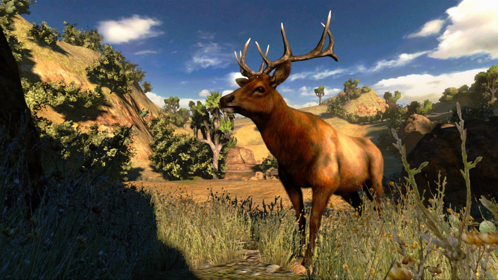 Скриншот из игры Cabela's Hunting Expeditions - 7