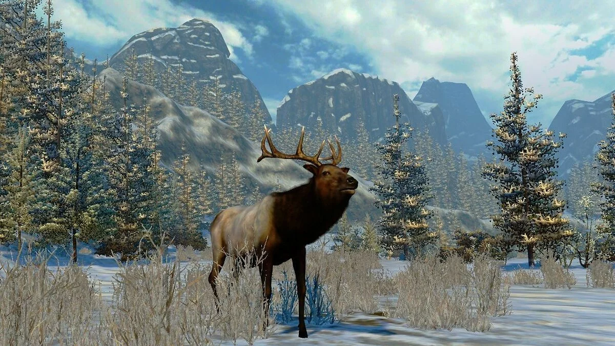 Скриншот из игры Cabela's North American Adventures - 11