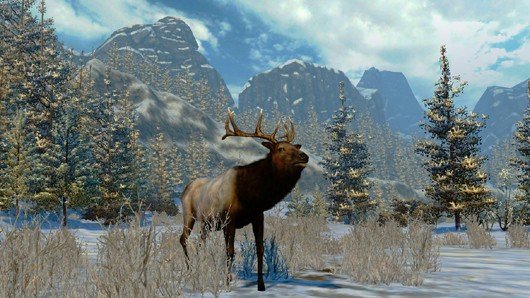 Скриншот из игры Cabela's North American Adventures - 10