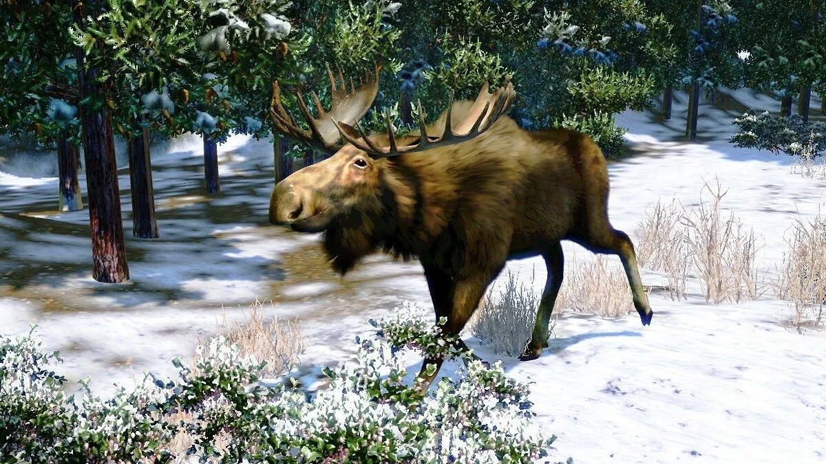 Скриншот из игры Cabela's North American Adventures - 19
