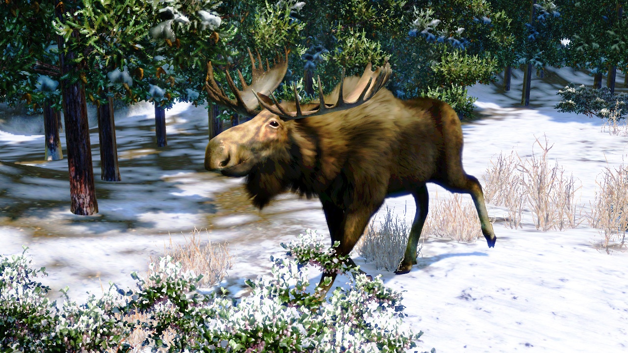 Скриншот из игры Cabela's North American Adventures - 24
