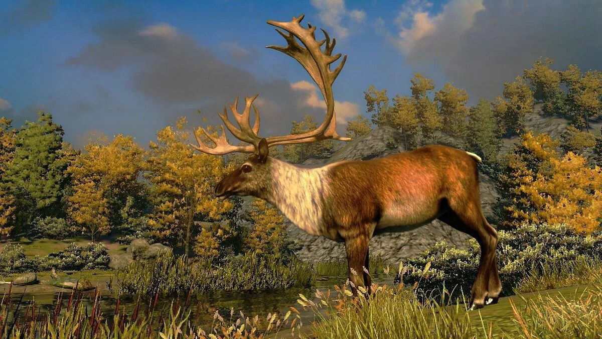 Скриншот из игры Cabela's North American Adventures - 15