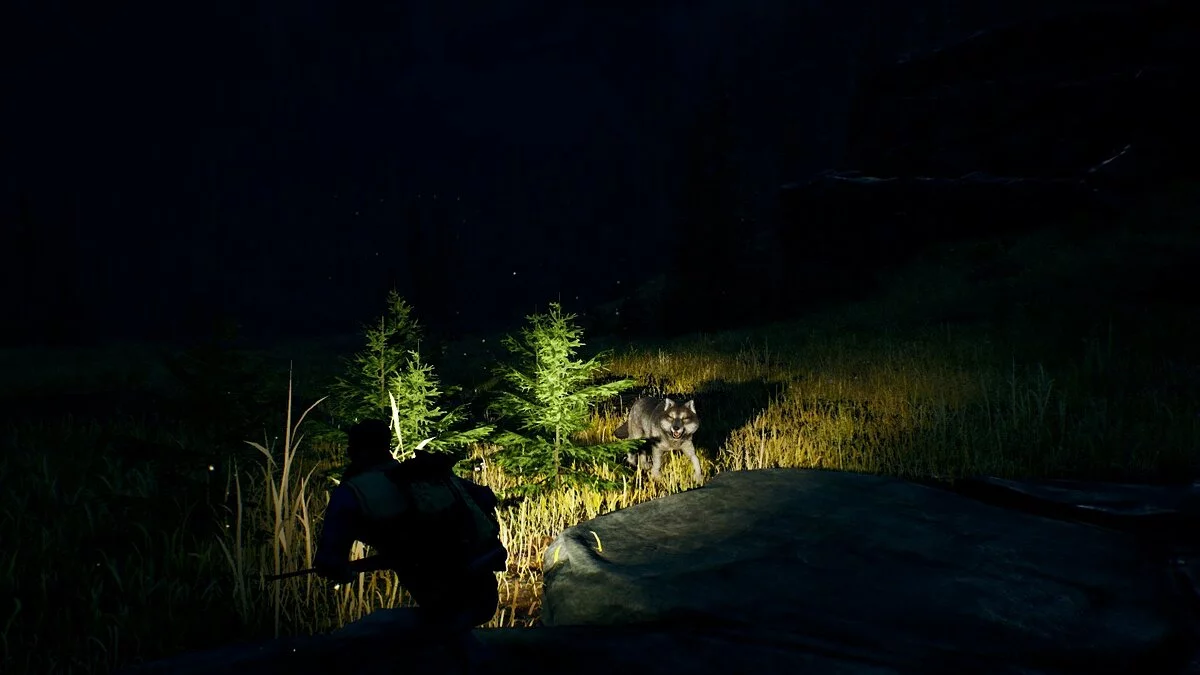 Скриншот из игры Open Country - 19