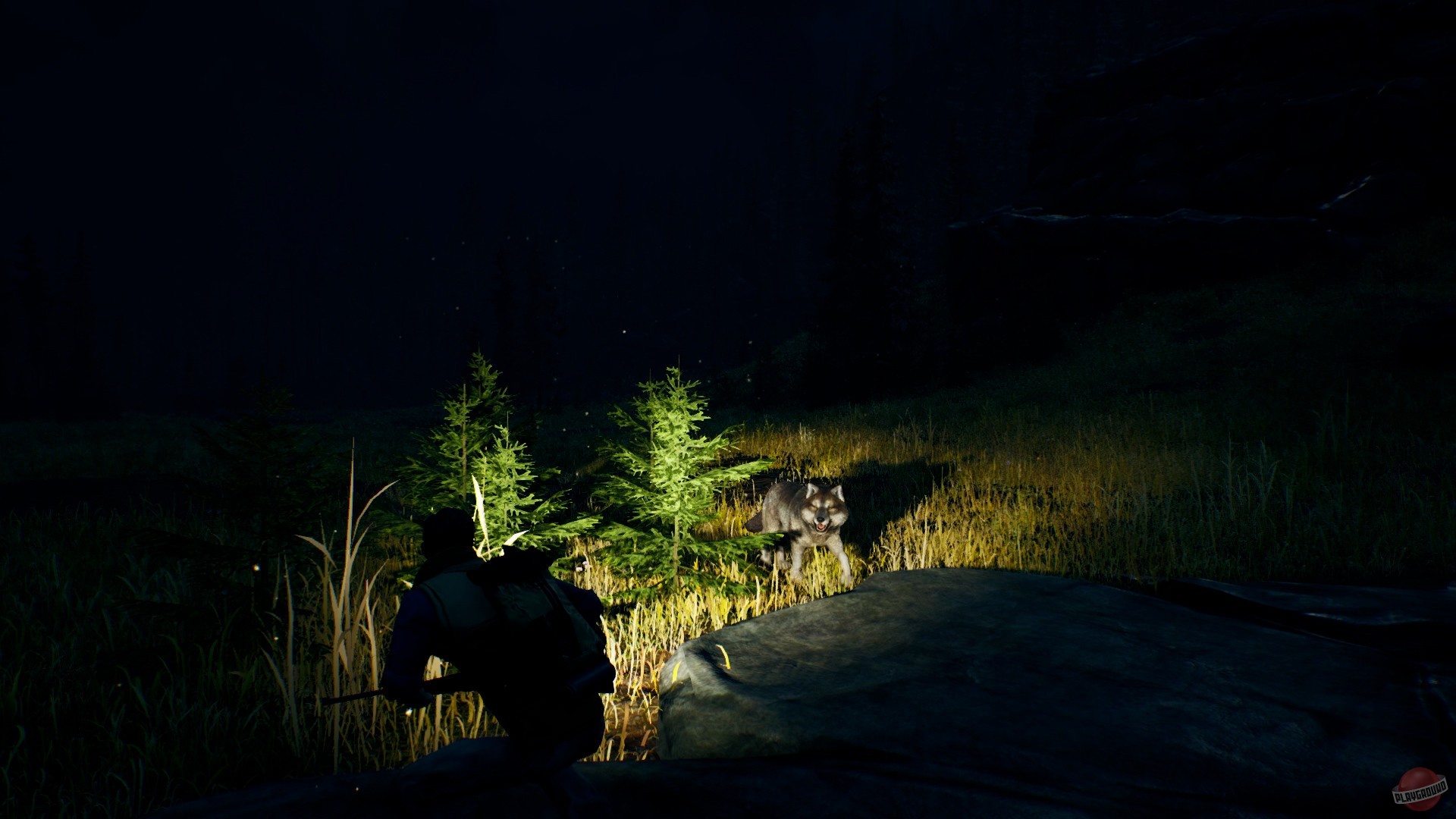 Скриншот из игры Open Country - 14