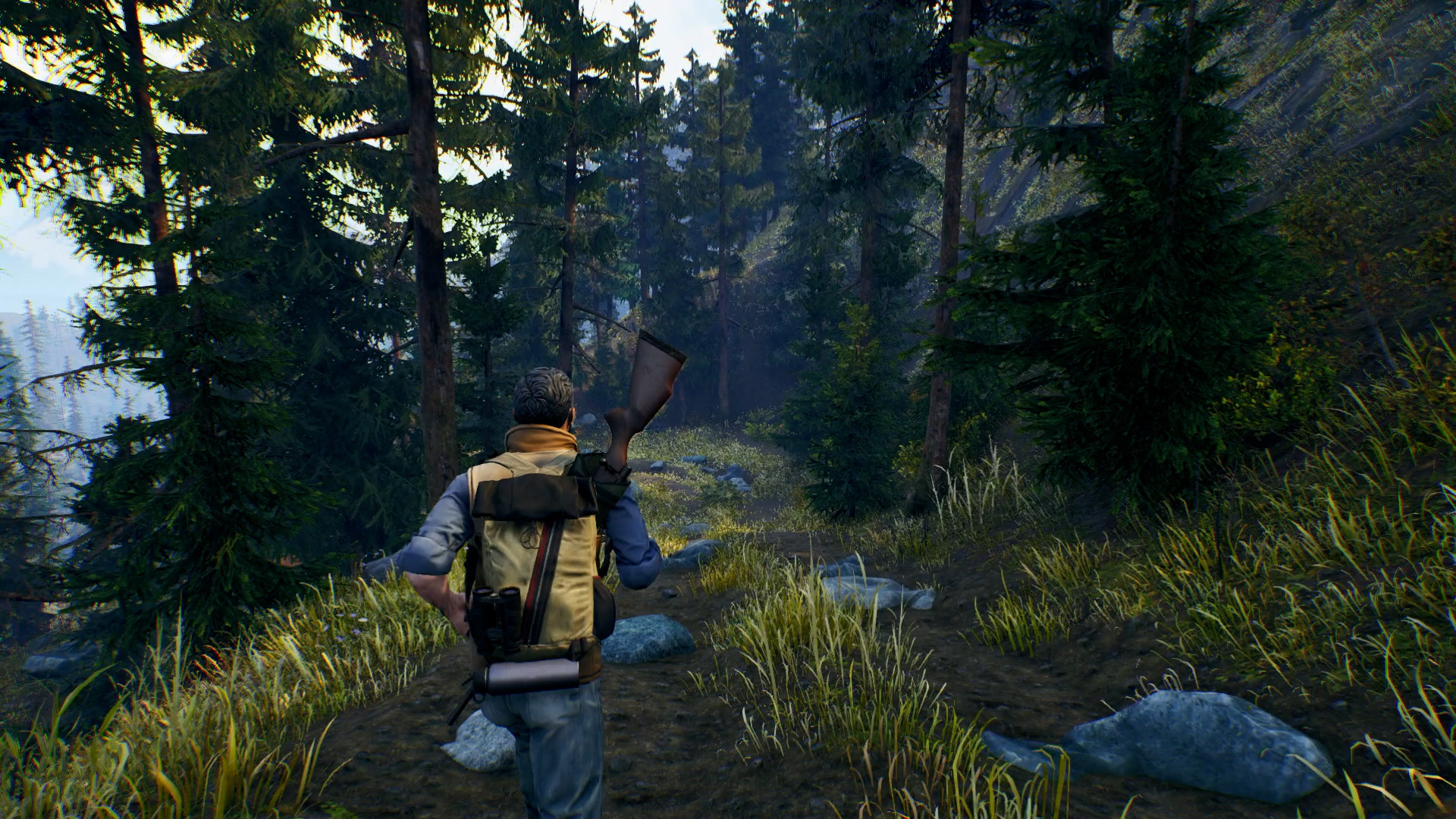 Скриншот из игры Open Country - 2