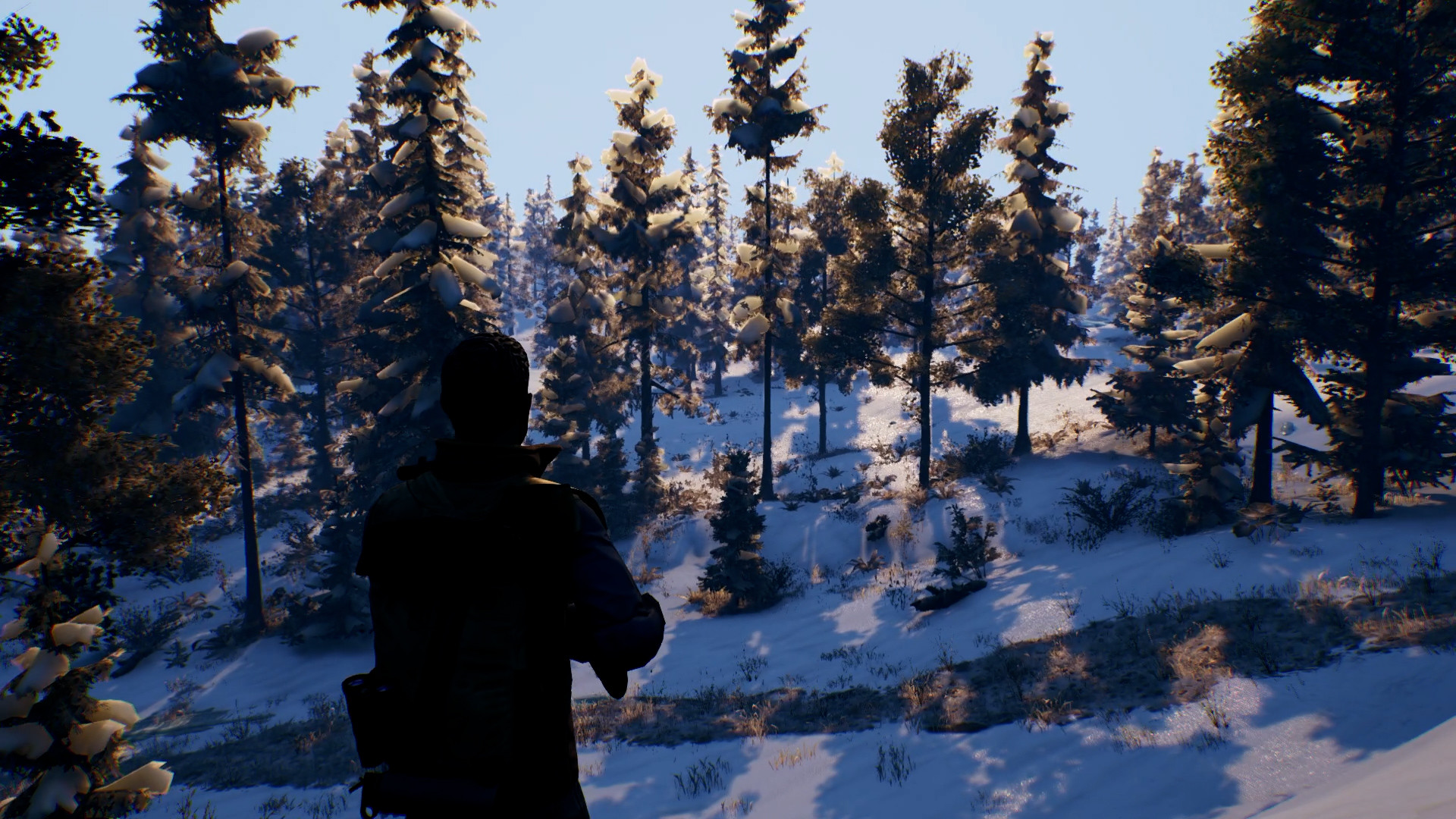 Скриншот из игры Open Country - 8