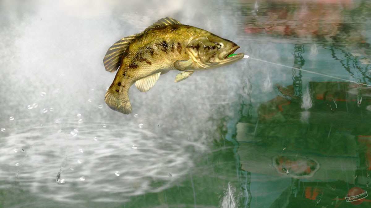 Скриншот из игры Rapala Pro Bass Fishing - 5