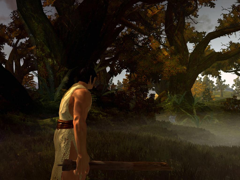 Скриншот из игры Age of Conan: Hyborian Adventures - 160