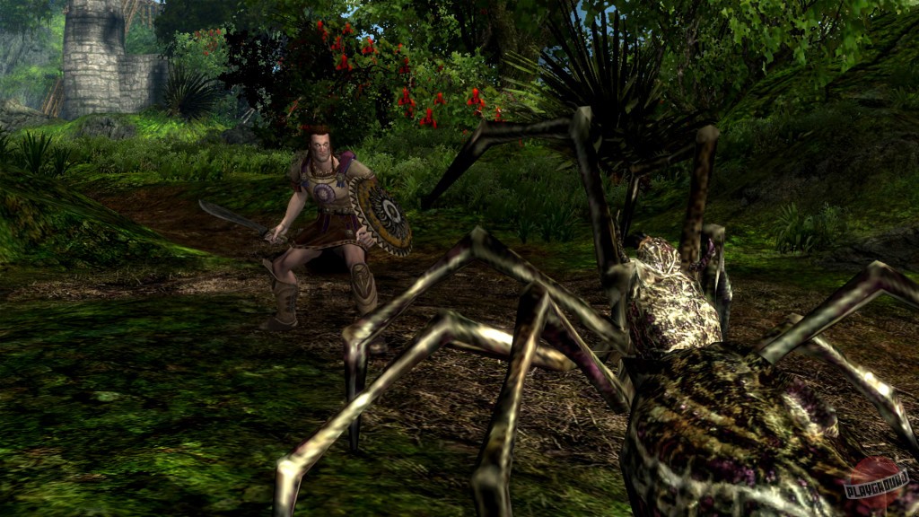 Скриншот из игры Age of Conan: Hyborian Adventures - 77