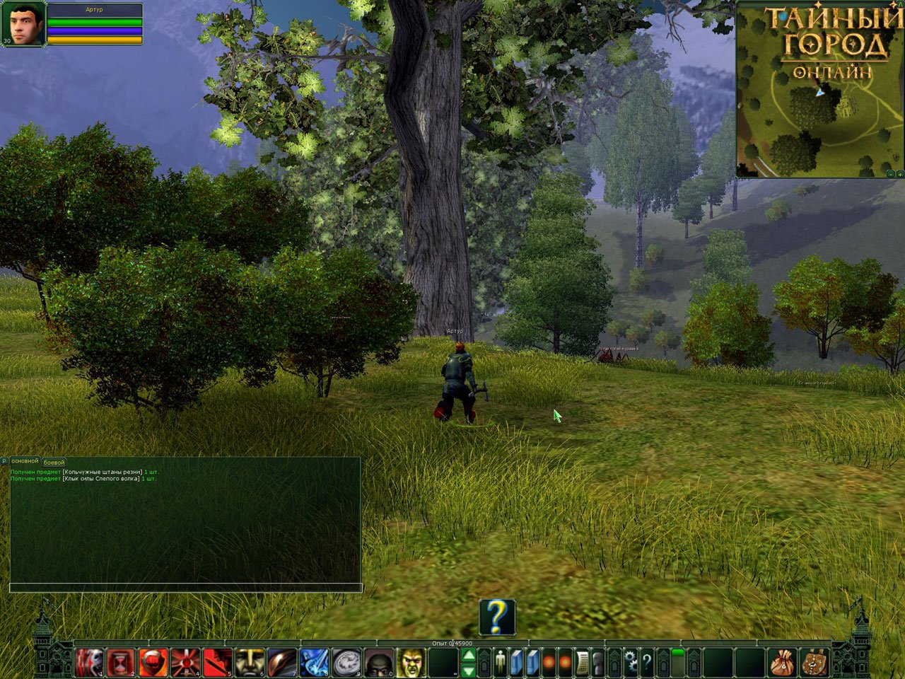 Скриншот из игры Тайный Город онлайн - 130