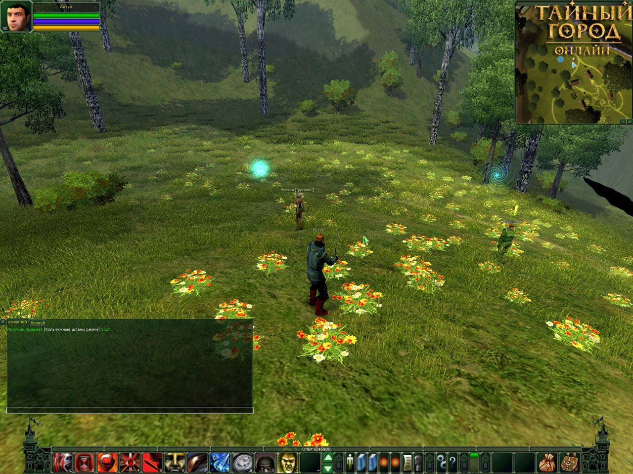 Скриншот из игры Тайный Город онлайн - 146