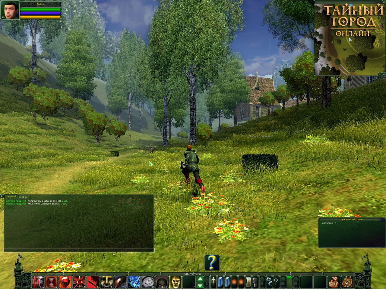 Скриншот из игры Тайный Город онлайн - 101