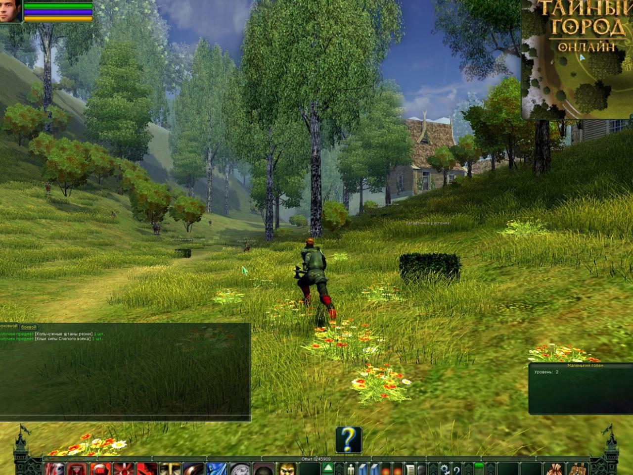 Скриншот из игры Тайный Город онлайн - 25