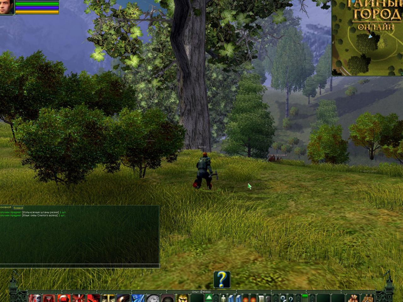 Скриншот из игры Тайный Город онлайн - 108