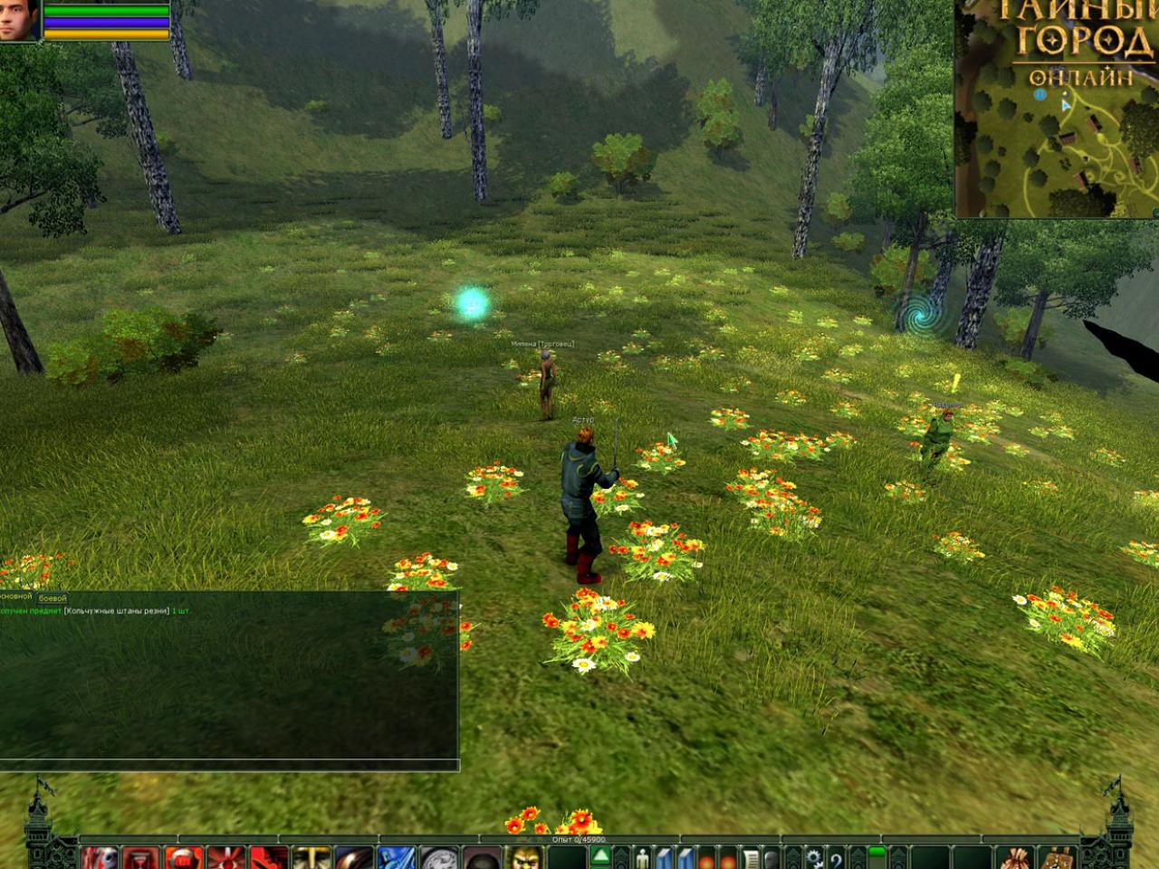 Скриншот из игры Тайный Город онлайн - 96