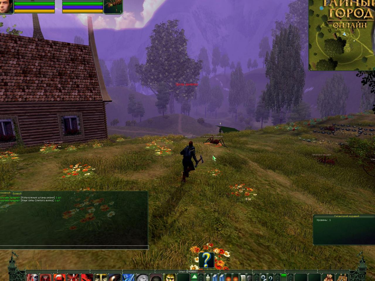 Скриншот из игры Тайный Город онлайн - 34