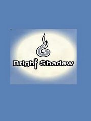 Обложка игры Bright Shadow