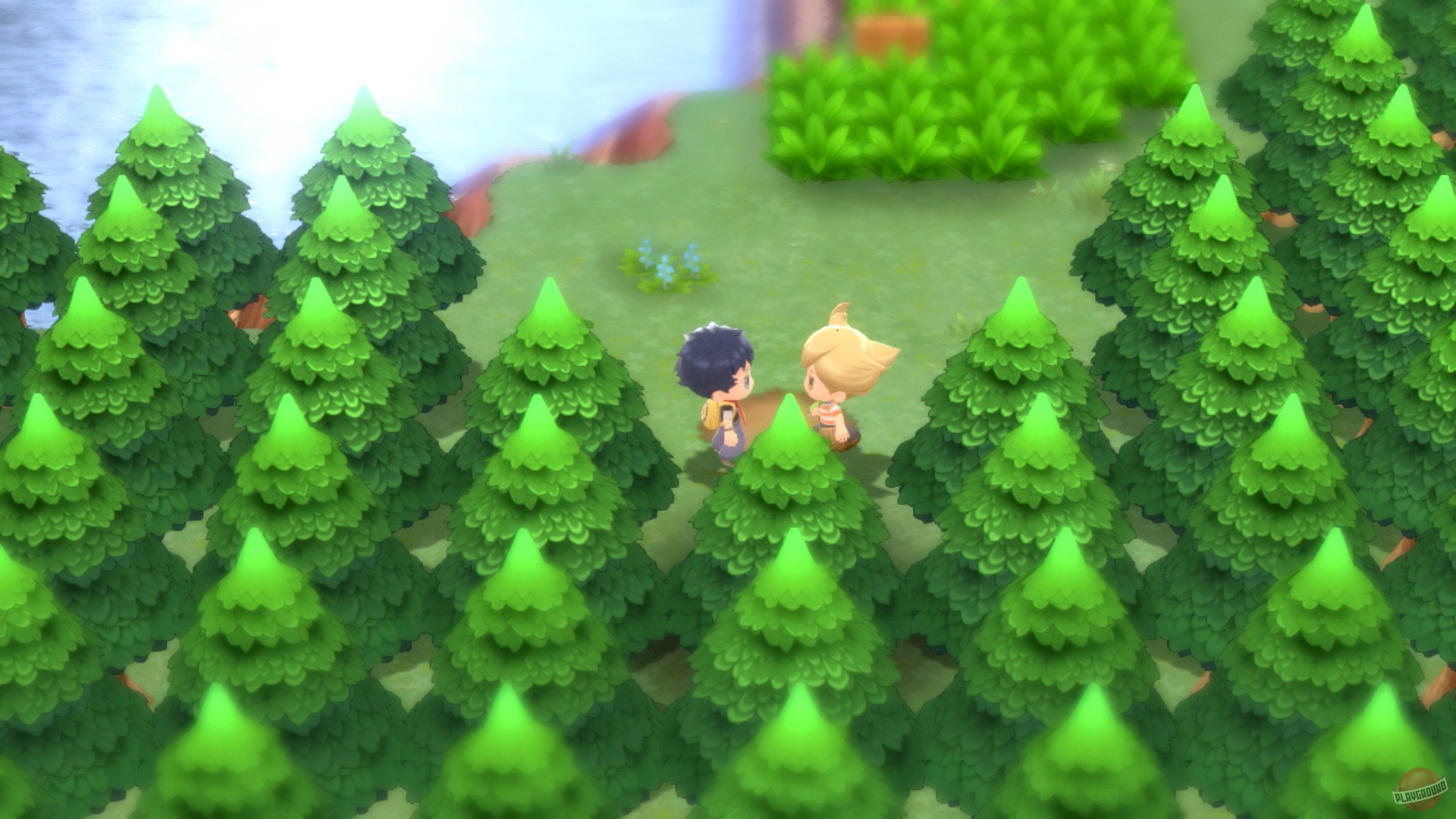 Скриншот из игры Pokemon Brilliant Diamond & Pokemon Shining Pearl - 3