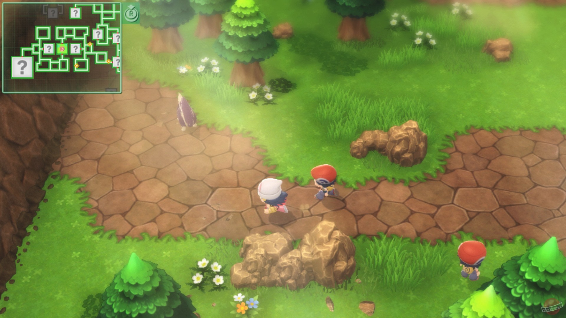 Скриншот из игры Pokemon Brilliant Diamond & Pokemon Shining Pearl - 27