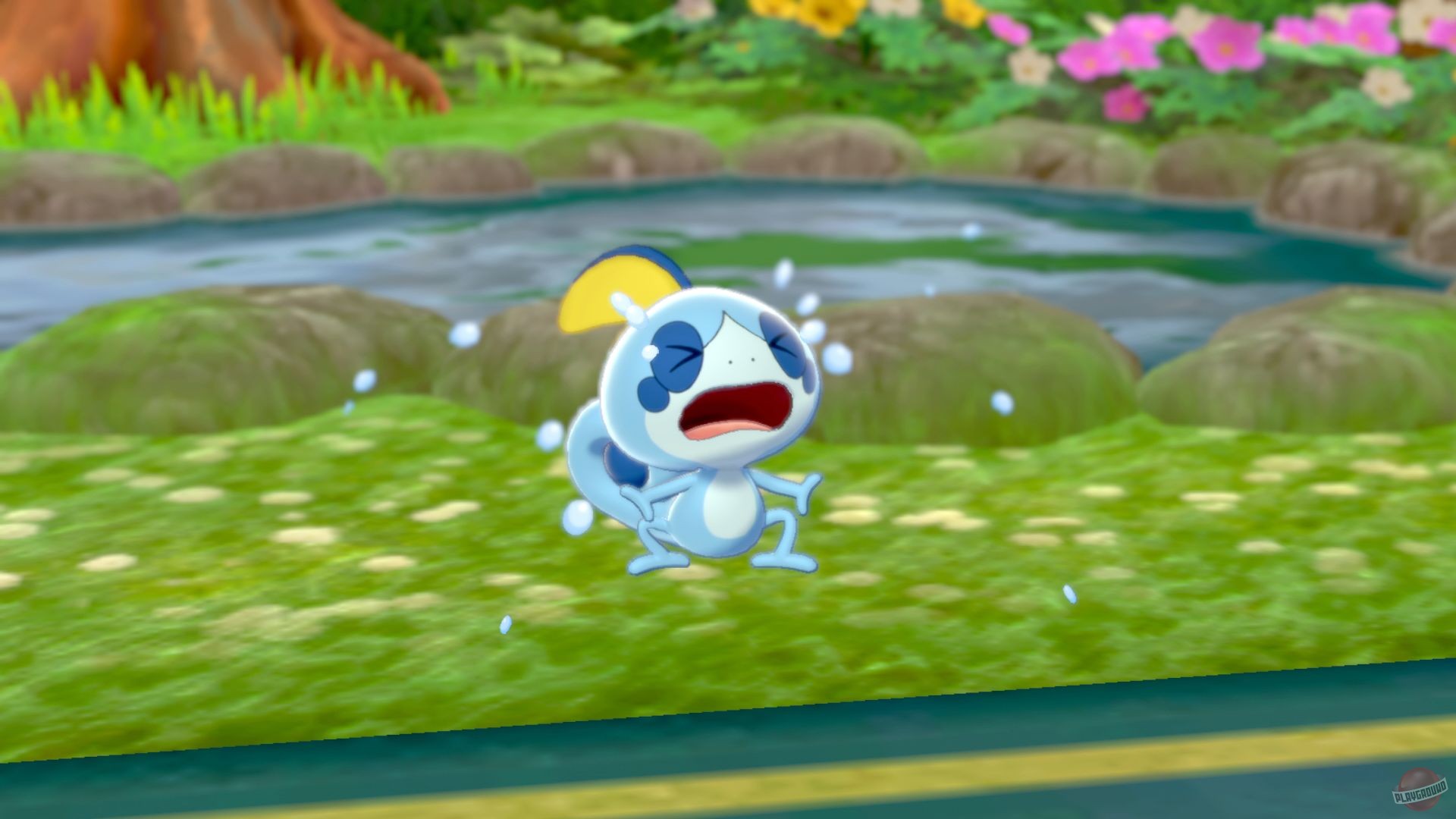 Скриншот из игры Pokemon Sword & Shield - 9
