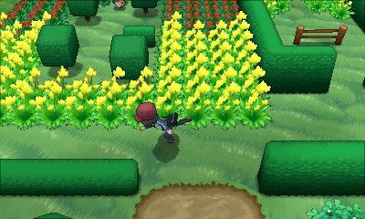 Скриншот из игры Pokemon X & Y - 1