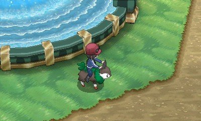 Скриншот из игры Pokemon X & Y - 2